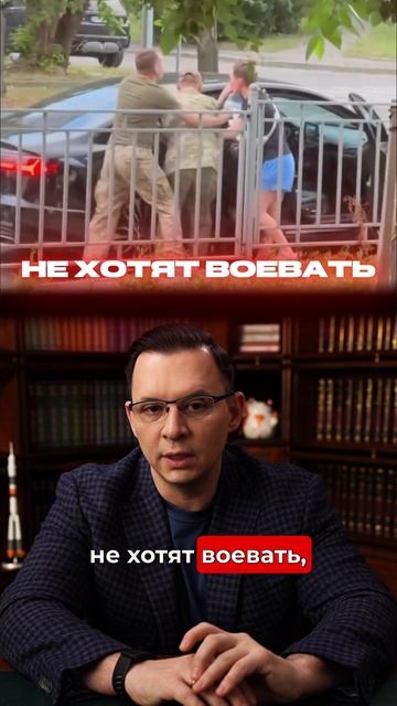 ТЦК это отряды Зеленского смотреть онлайн