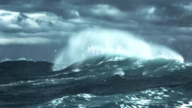 Rihanna - Wild enought at all (Emotional SUPER HIT)