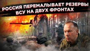 «Деревянный кошмар» для ВСУ: как леса Сумщины становятся могилой украинской армии