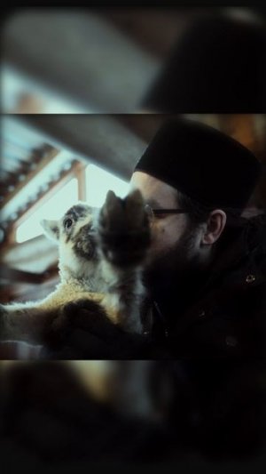 ВСЕМ БЛАГОСЛОВЕННОЙ НЕДЕЛИ! | ФЕВРАЛЬ НА ФЕРМЕ | ВАЛААМСКИЙ МОНАСТЫРЬ  #валаам #ферма #cinematic