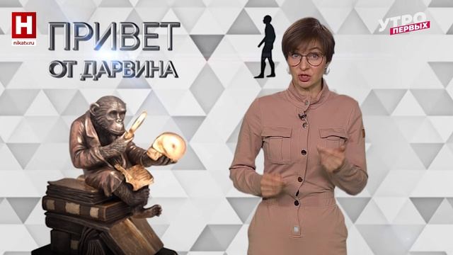 Спортивная форма без риска для жизни | ПРИВЕТ ОТ ДАРВИНА