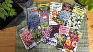 Обзор Семян Цветов Что Буду Сеять в Феврале 2026