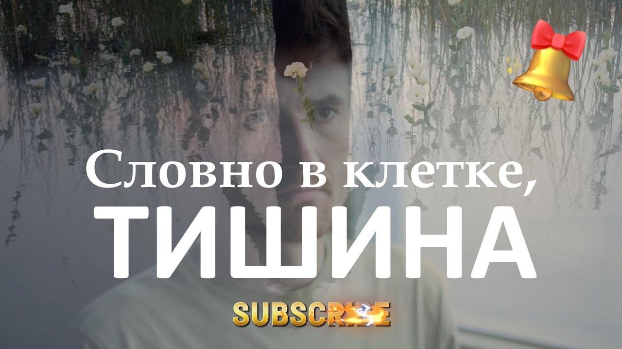 Александр Кононов - Задержалась, словно в клетке, тишина. It's like a caged silence.