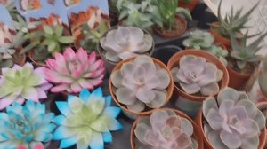 Красота страшная сила!🌹🌹🌹