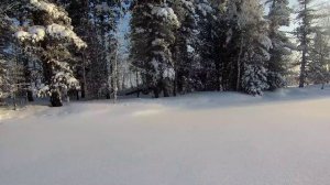 Рыбалка на озере 30.01.2026