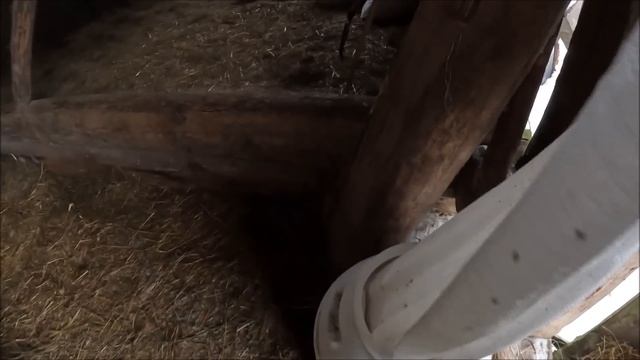 Лесной хутор/Сосновые дрова дают много сажи, чищу печки. Жизнь на лесном хуторе.