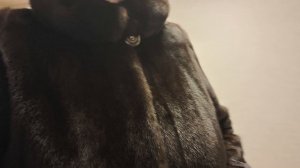 Жизнь в городе на пенсии.