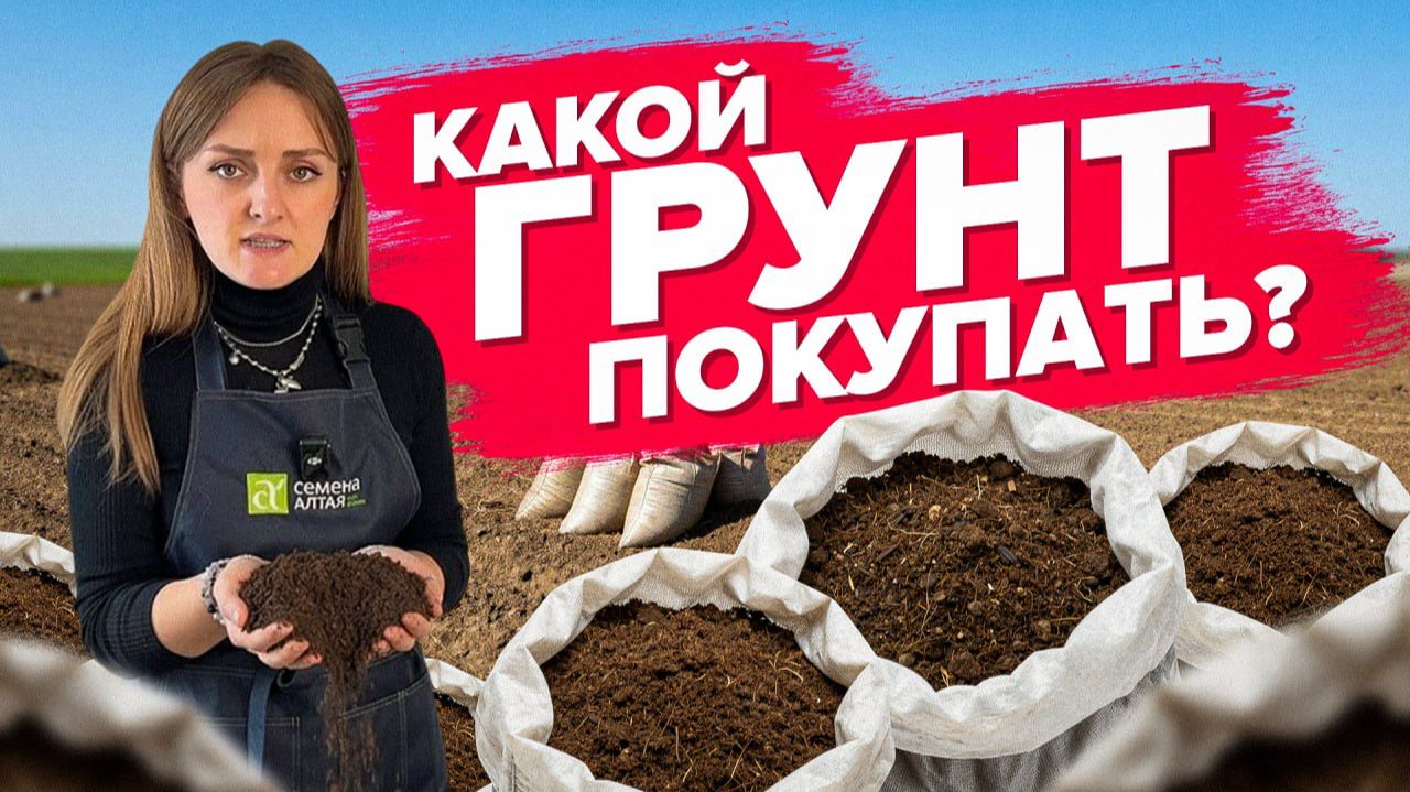 КАКОЙ ГРУНТ ВЫБРАТЬ. Что такое нейтрализованный торф смотреть онлайн