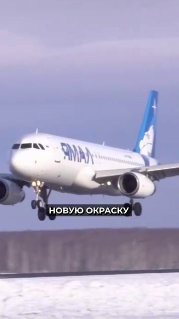 📍Самолёт АТК "Ямал" предстал перед споттерами в новой ливрее #новости #янао смотреть онлайн