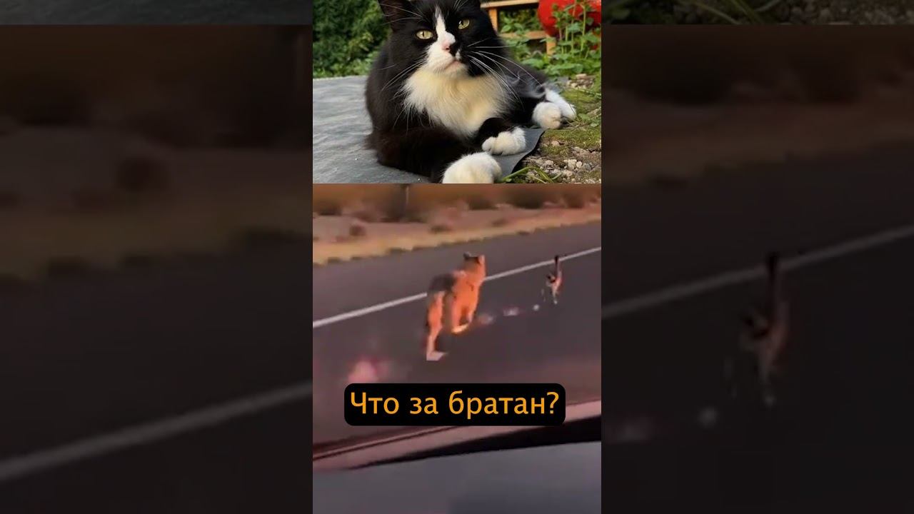 Когда реальность копирует мультики!