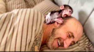 Степашка будит Влада, Я  ПРОСНУЛСЯ-ВСЕМ НЕ СПАТЬ! Чтобы Влад быстрей встал, Стёпа кусает его за уши