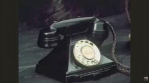 Тайная жизнь машин - Телефон