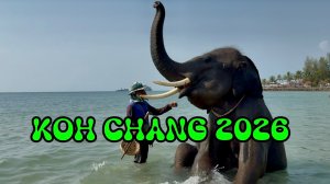 Заселились в новый ОТЕЛЬ KAIBAE BEACH RESORT 🌴 СЛОНЫ тоже любят купаться 🐘
