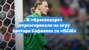 В «Краснодаре» отреагировали на игру вратаря Сафонова за «ПСЖ»