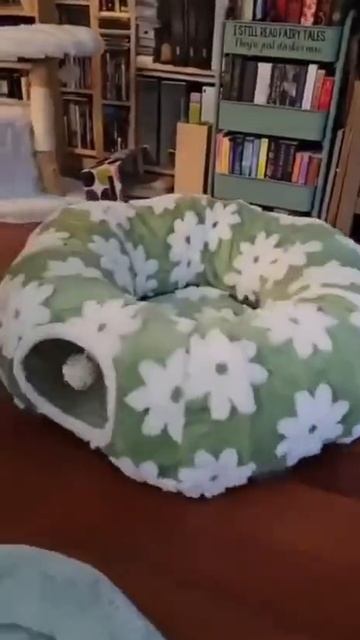 Суетолог смотреть онлайн