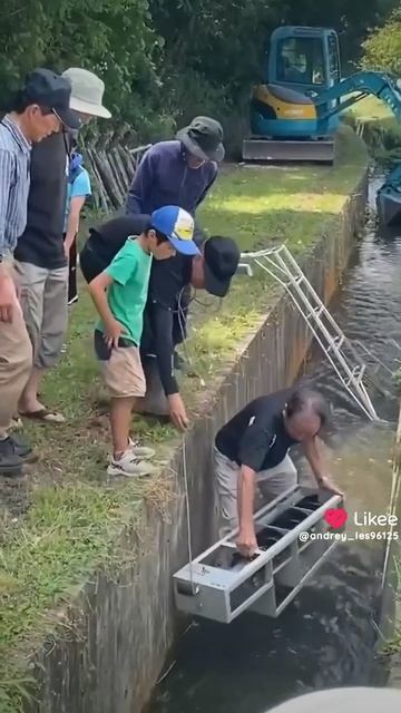 энциклопедия знаний 📚 смотреть онлайн
