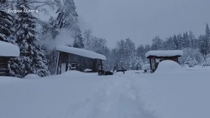 ПОХОД В ЛЕС. В ТАКОЙ СНЕГ ЛУЧШЕ ДОМА СИДЕТЬ. 18.01.26