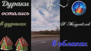 Ответы на вопросы " На манеже всё те же "