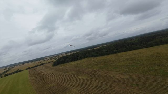 dji avata 2 и сокол