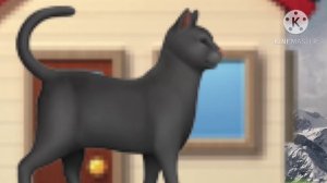 Побег от Чёрного кота Add Round 0