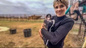 Я принесла Степашку Леокадии, мне не нравится его впалая грудь и хвост в синяках!