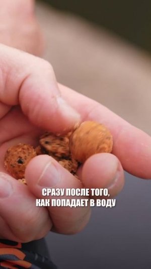 🙏 ХРАНИТЬ ИЛИ ХОРОНИТЬ⁉️ ⚰️ СУДЬБА ОТКРЫТЫХ ПАЧЕК БОЙЛОВ…