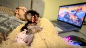 Степашка стал ВЕЛИКИМ АЙТИШНИКОМ, он может как включить компьютер, так его и ВЫРУБИТЬ)))