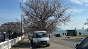 Геленджик тоска зеленая