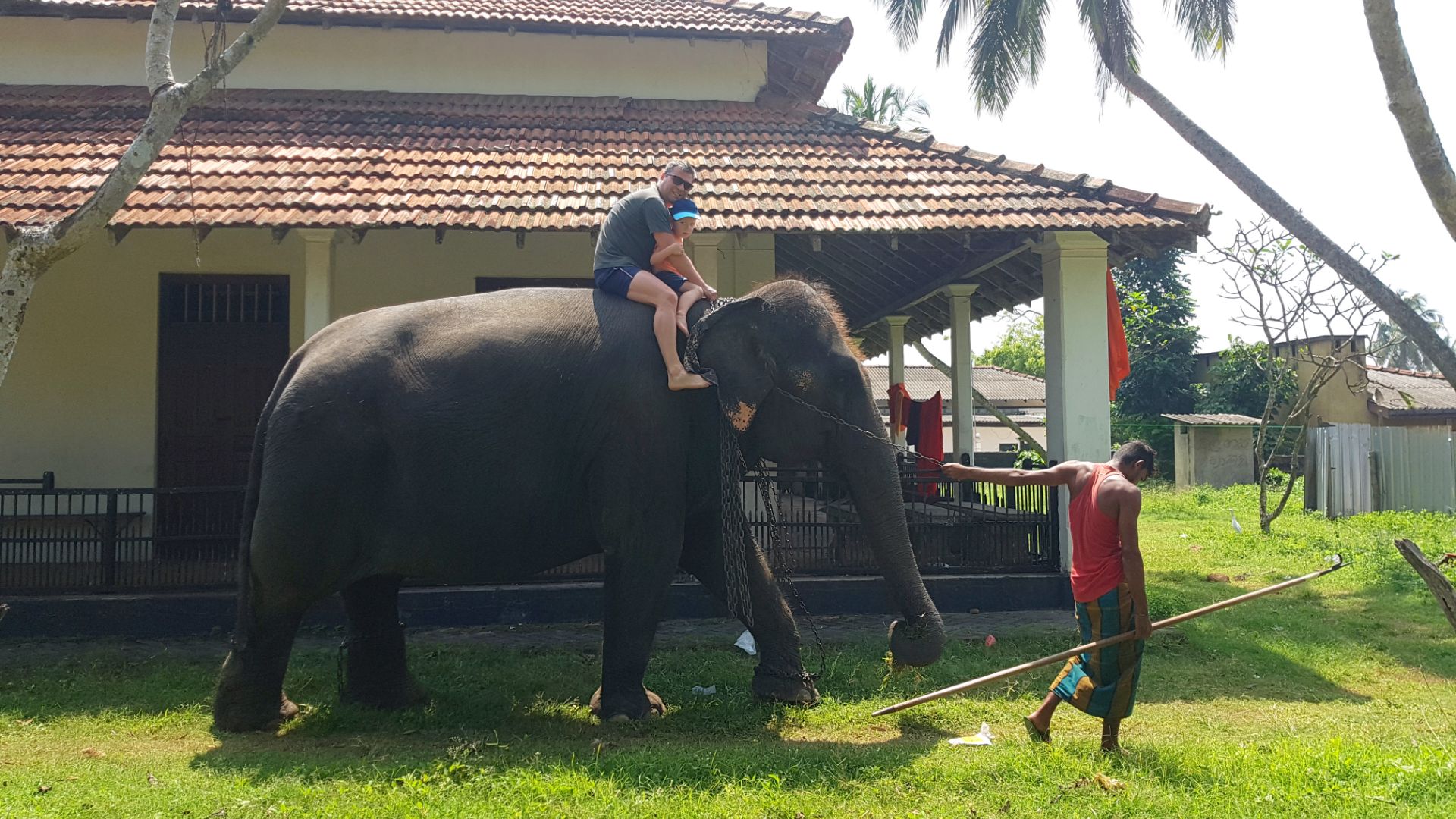 Шри-Ланка - 2017г
