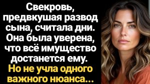 ИСТОРИИ ИЗ ЖИЗНИ/Свекровь была уверена, что при разводе всё имущество достанется сыну, но не