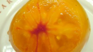 ЧЕТЫРЕ  ЛУЧШИХ   ТОМАТНЫХ ГНОМА  ДЛЯ ОТКРЫТОГО ГРУНТА