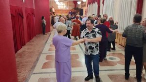 1 февраля.Белый лебедь на пруду...