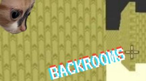 😱BACKROOMS В ЧИКЕН ГАНЕ!!!