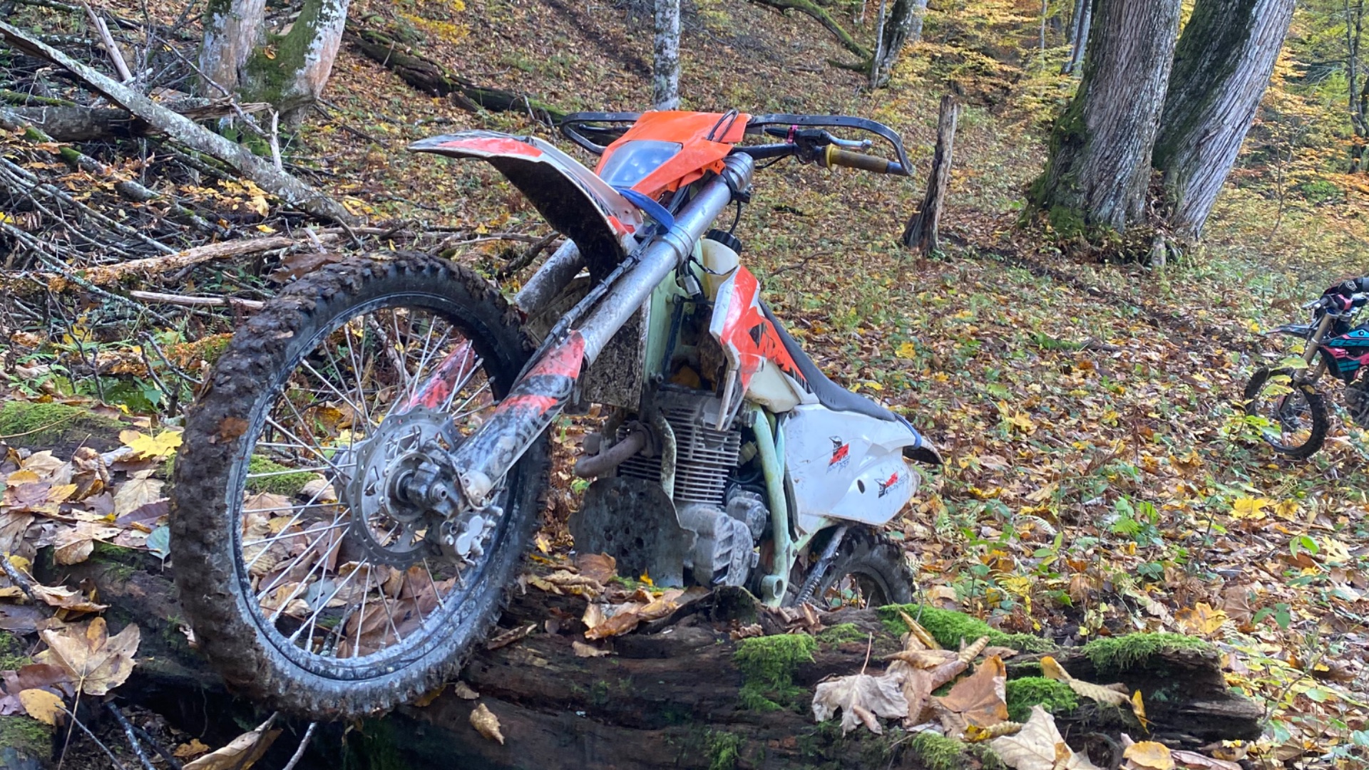 Ride in Krasnaya Polyana