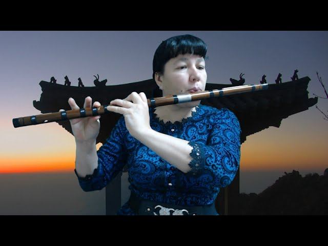 "Горные цвета невидимы", "Игра на шёлке" #dizi #dizicover