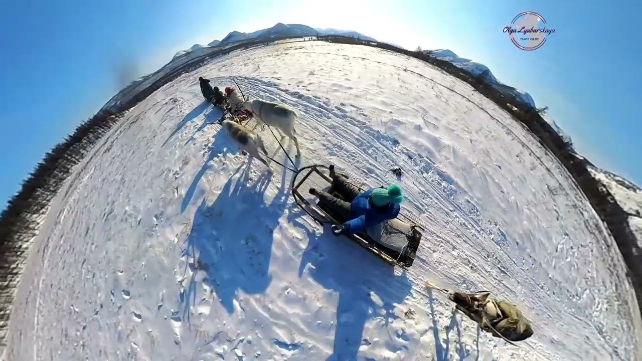 Мы поедем,  мы помчимся....