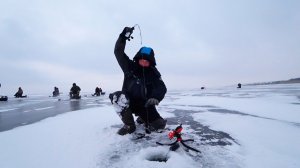 Безумный клёв судака, которого я никогда не видел! Зимняя рыбалка со льда