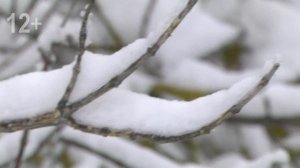 Борьба со снегом в Моршанске