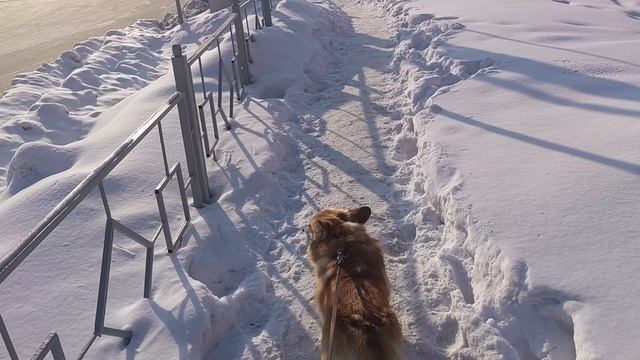 Спешим на урок в школу 