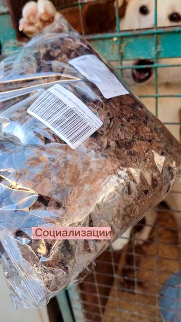 Угостите нас, мы такое любим