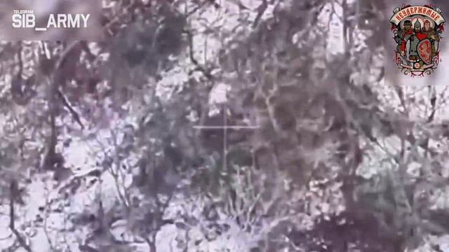 📹🎮💥Кадры ударов операторов FPV-дронов по пехоте противника…🇺🇦 смотреть онлайн