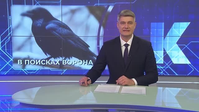 Новости Калининграда — итоги недели, 1 февраля 2026 каскад тв