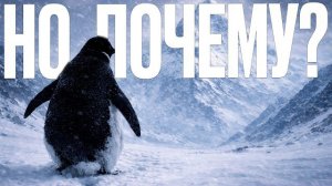 ℹ️ ПИНГВИН, КОТОРЫЙ УШЁЛ В ГОРЫ | Почему он ушёл из стаи? Скрытый смысл  🎬 Качество: 1080p