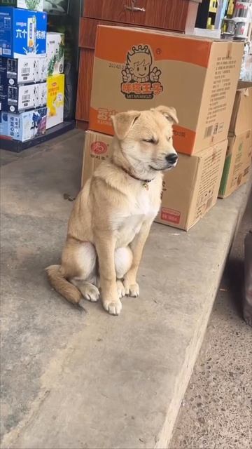 Понедельник смотреть онлайн