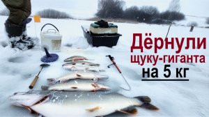 Поймали щуку-гиганта на 5 кг на Жерлицы. Зимняя рыбалка - 2026! Секретный пруд