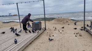 Центральный пляж Шторм Анапа 1 февраля #русскоеморе #анапа2026