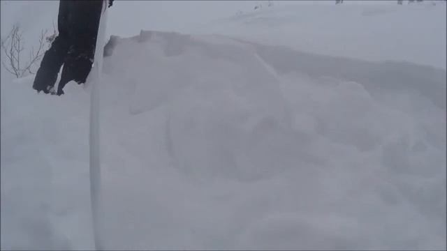 видеозарисовка юного фрирайдера