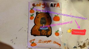 Распаковка бокса с капибарами! Узнай,что же внутри!👍