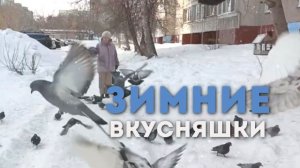 Кормление птиц 🦅🦅