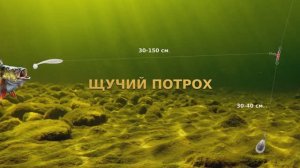 Отводной поводок. Оснастка для ловли окуня, судака, щуки